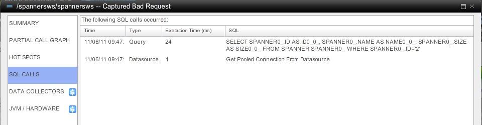 AppDynamics sql calls